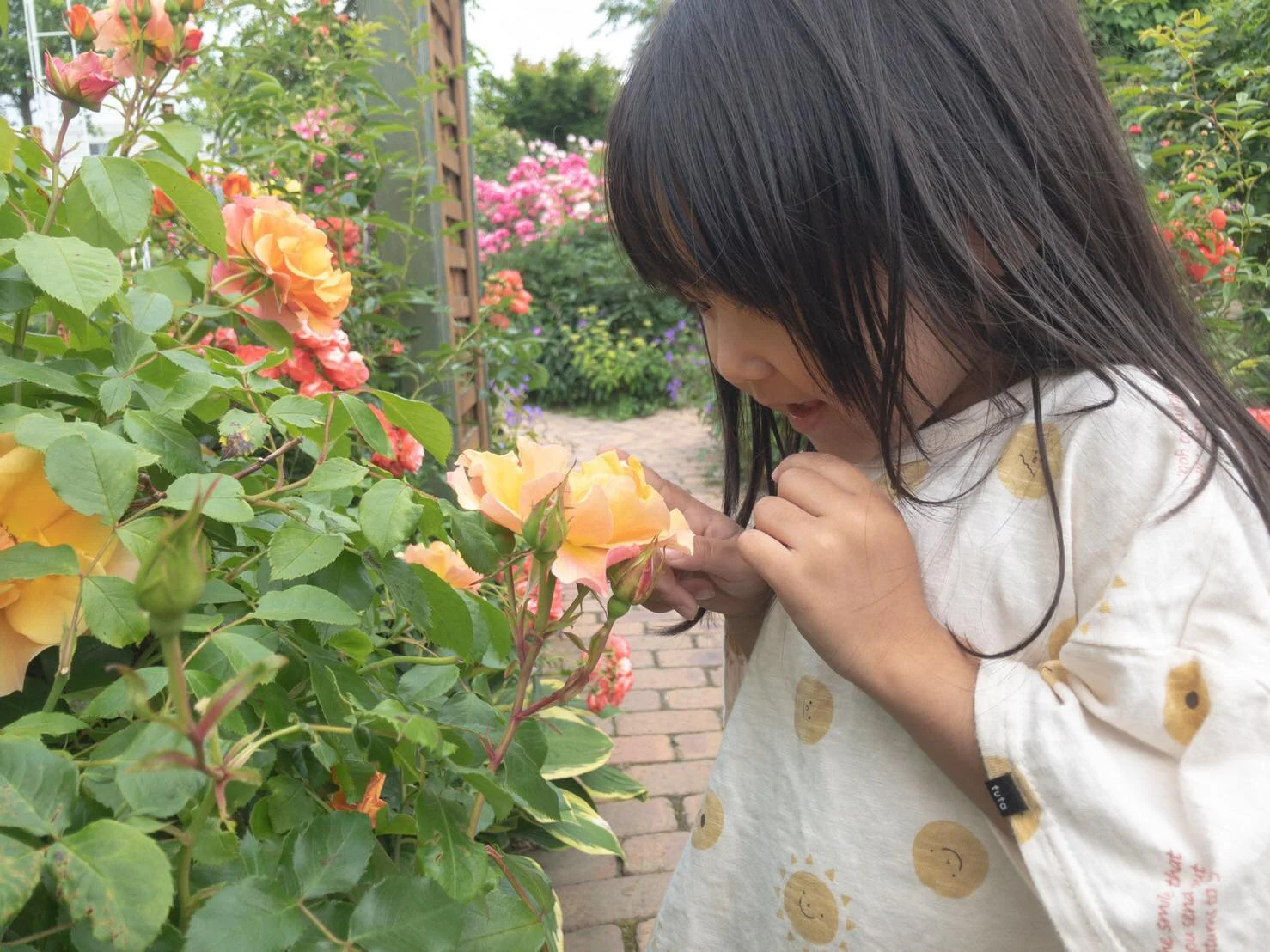 社長業＝ディレクター。という仕事