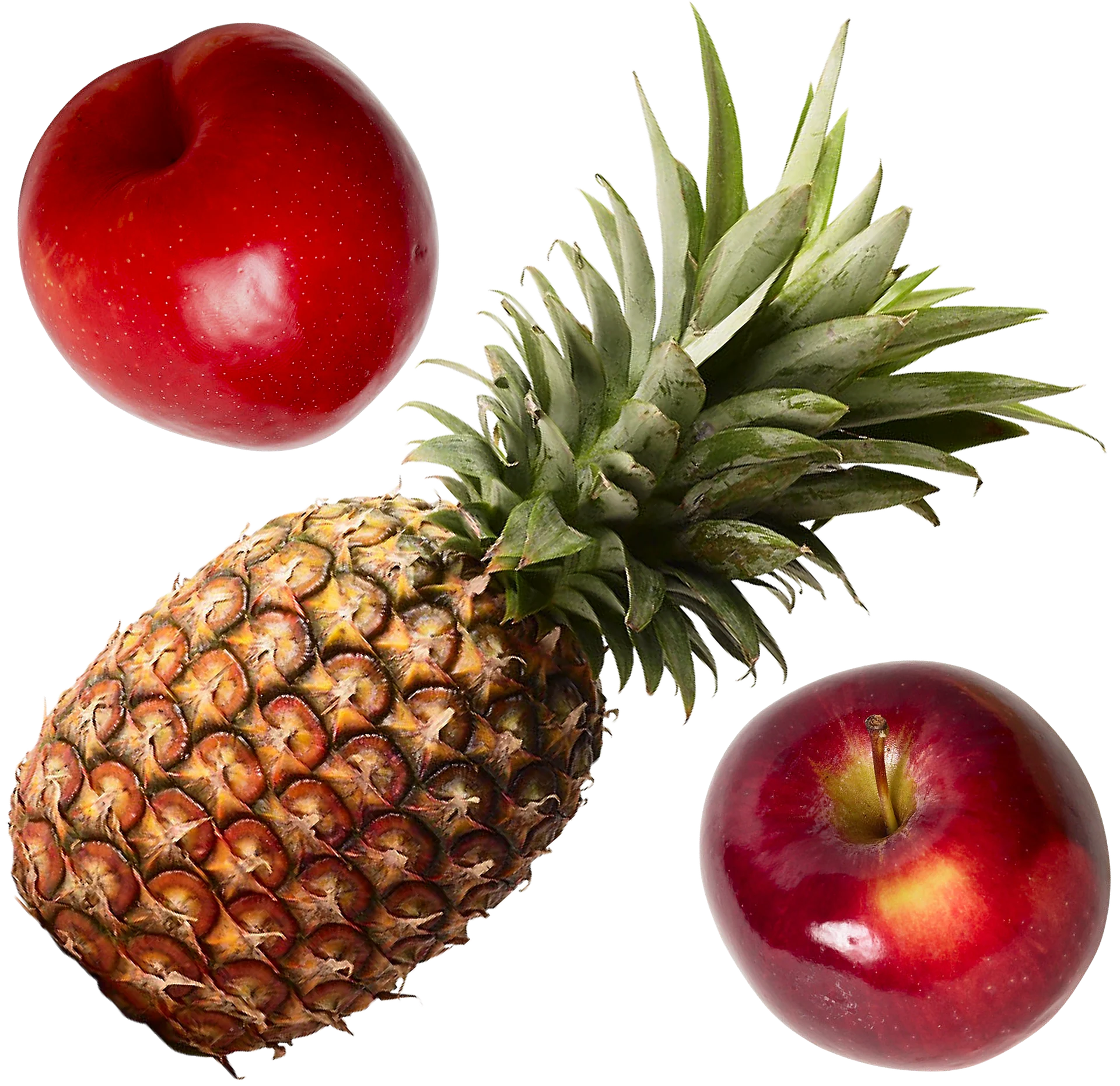 今一度PPAPを考える