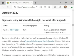 22H2に更新後、「Windows Hello」でサインインできない問題のお話