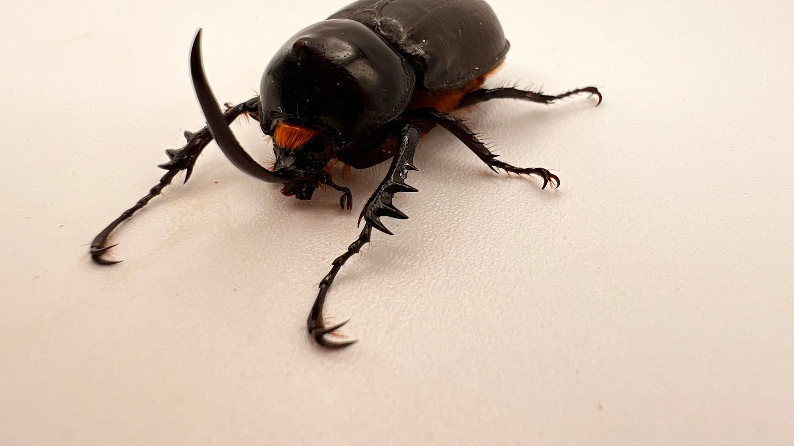 自分の見られ方