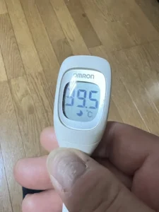 熱で倒れた話